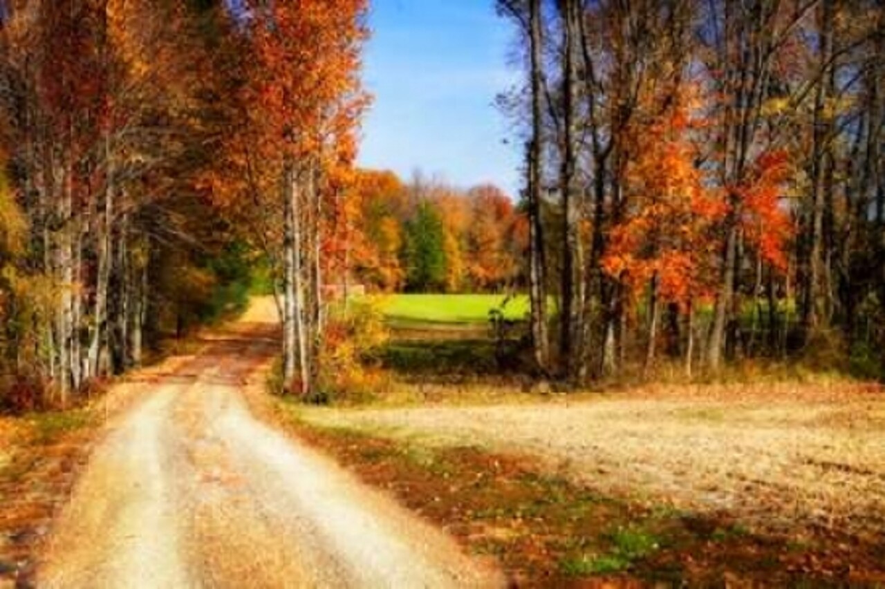 Late Virginia Autumn Poster Print by Alan Hausenflock - Item # VARPDXPSHSF1723